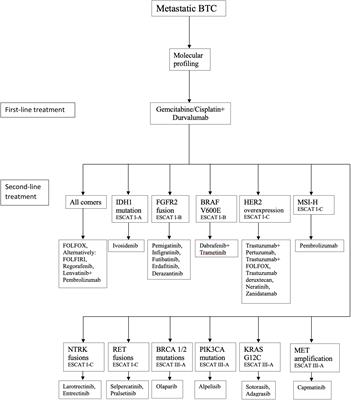 Systemic treatment of patients with locally advanced or metastatic cholangiocarcinoma – an Austrian expert consensus statement